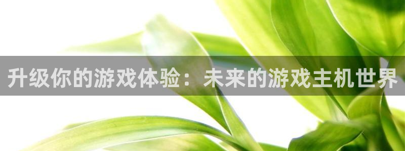 沐鸣2平台官网