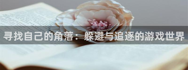 沐鸣2测速登录：寻找自己的角落：躲避与追逐的游戏世界