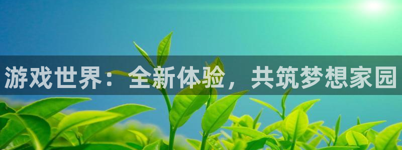 沐鸣2娱乐平台：游戏世界：全新体验，共筑梦想家园