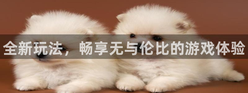 沐鸣2登录注册：全新玩法，畅享无与伦比的游戏体验