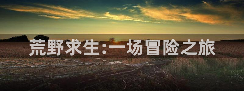 沐鸣2设置100%流畅