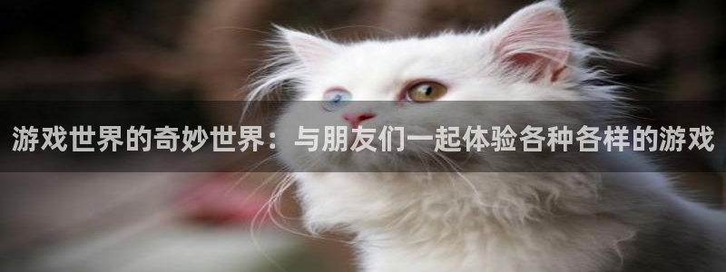 沐鸣2娱乐平台：游戏世界的奇妙世界：与朋友们一起体验各种各样