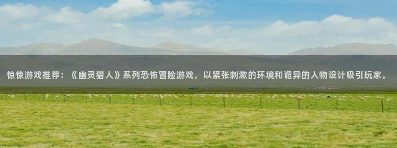 沐鸣2平台登录线路：惊悚游戏推荐：《幽灵猎人》系列恐怖冒险游