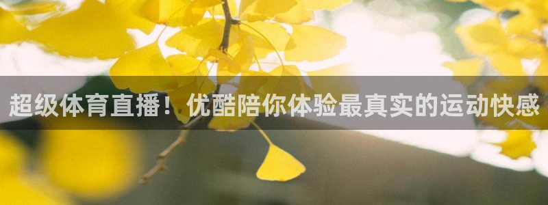 超级体育直播！优酷陪你体验最真实的运动快感