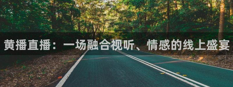 山猫nba体育直播官网：黄播直播：一场融合视听、情感的线上盛宴