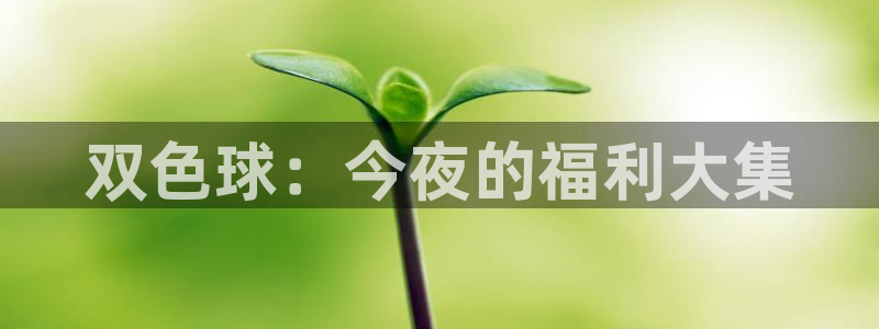 山猫在线足球直播：双色球：今夜的福利大集