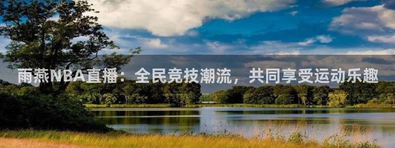 山猫足球直播高清直播在线观看：雨燕NBA直播：全民竞技潮流，共同享受运动乐趣