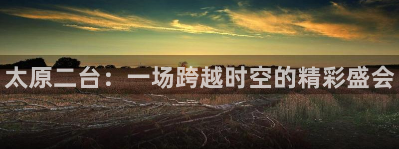 山猫直播足球免费观看：太原二台：一场跨越时空的精彩盛会
