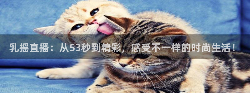 山猫足球直播间：乳摇直播：从53秒到精彩，感受不一样的时尚生活！