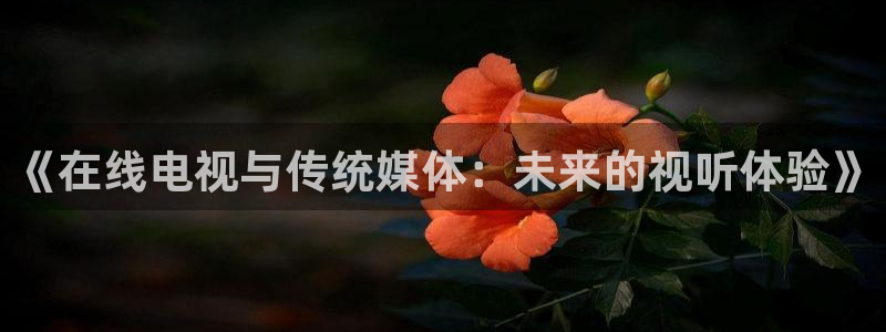 山猫体育免费篮球直播：《在线电视与传统媒体：未来的视听体验》
