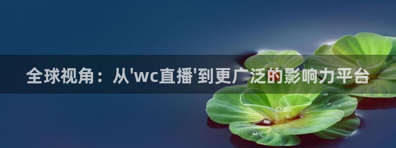 足球山猫运动直播：全球视角：从\'wc直播\'到更广泛的影响力平台