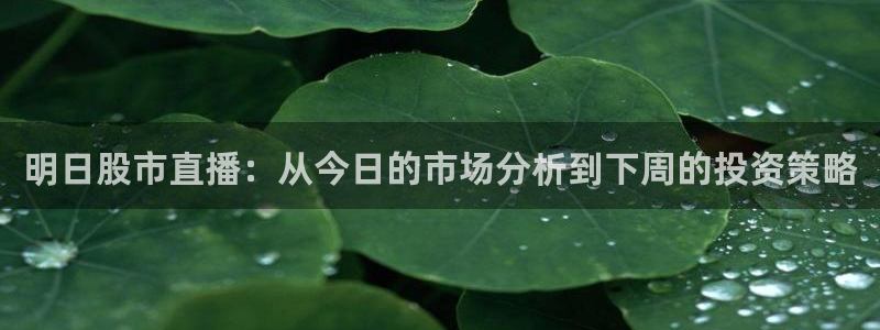 山猫nba免费直播：明日股市直播：从今日的市场分析到下周的投资策略