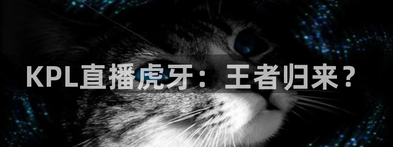山猫体育免费直播：KPL直播虎牙：王者归来？